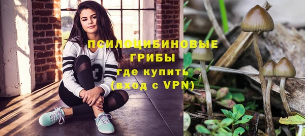 крисы Алексин