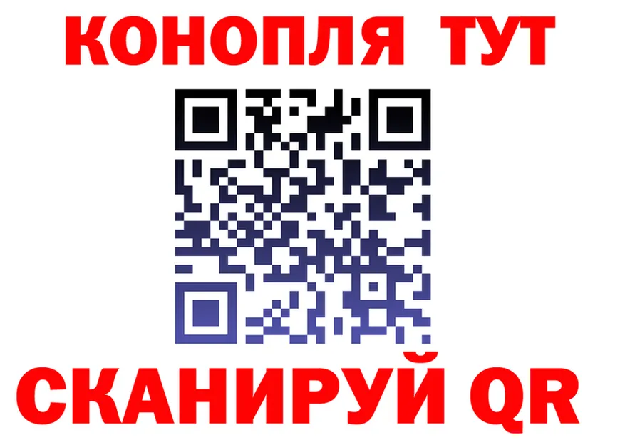 АМФ Premium ссылка маркетплейс OMG Холм